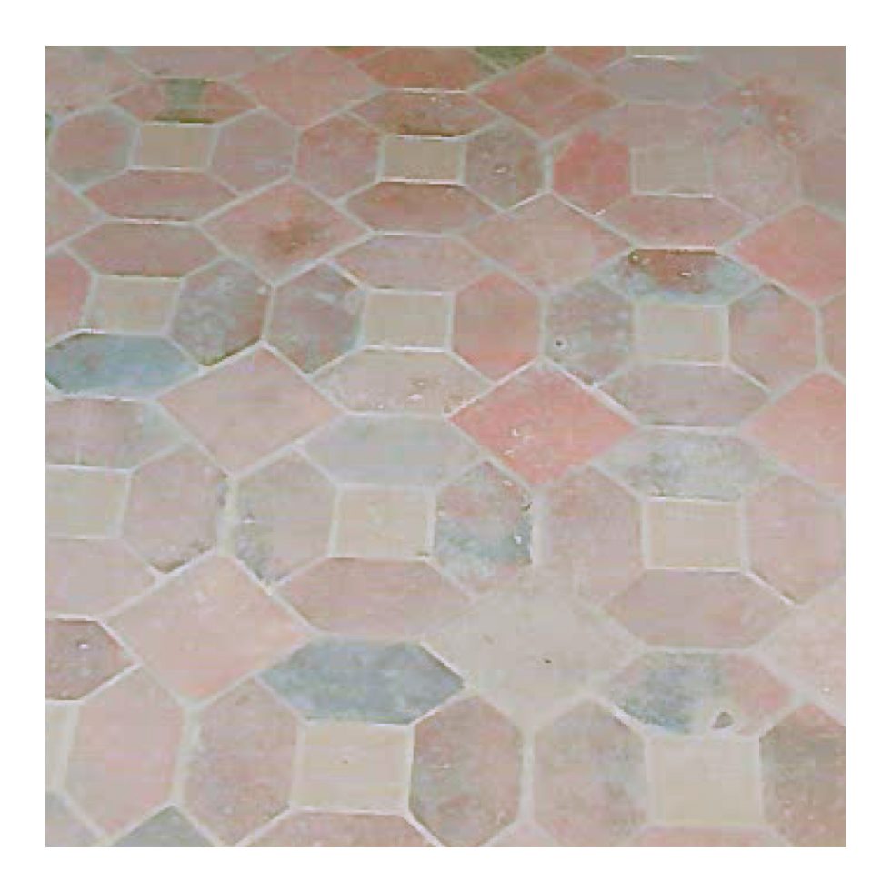 Anjou-Pattern-Terra-Cotta-Reclaimed-2