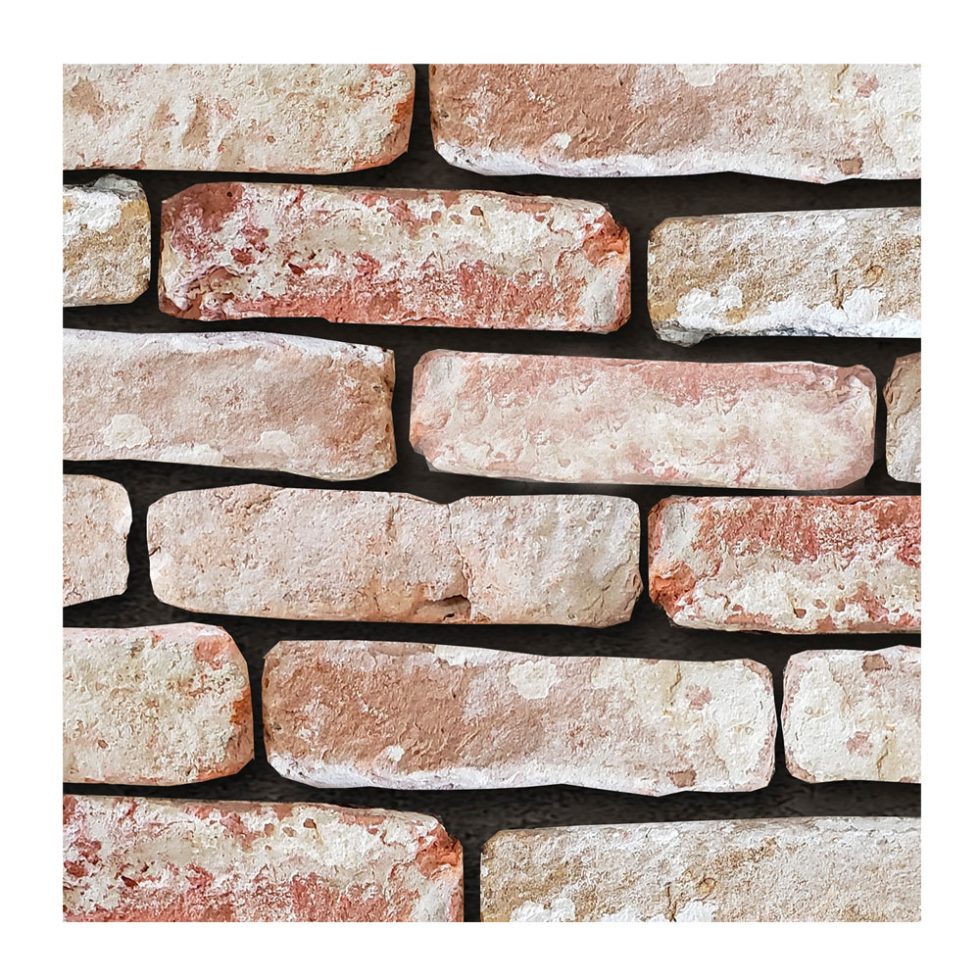 Erustcan Terra Cotta Reclaimed