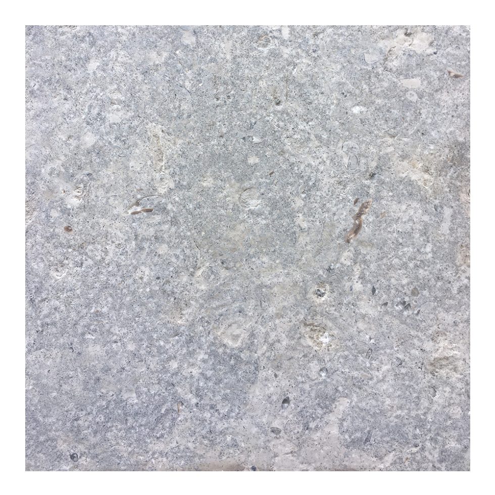 LST-109---Manganese-Signature-Limestone