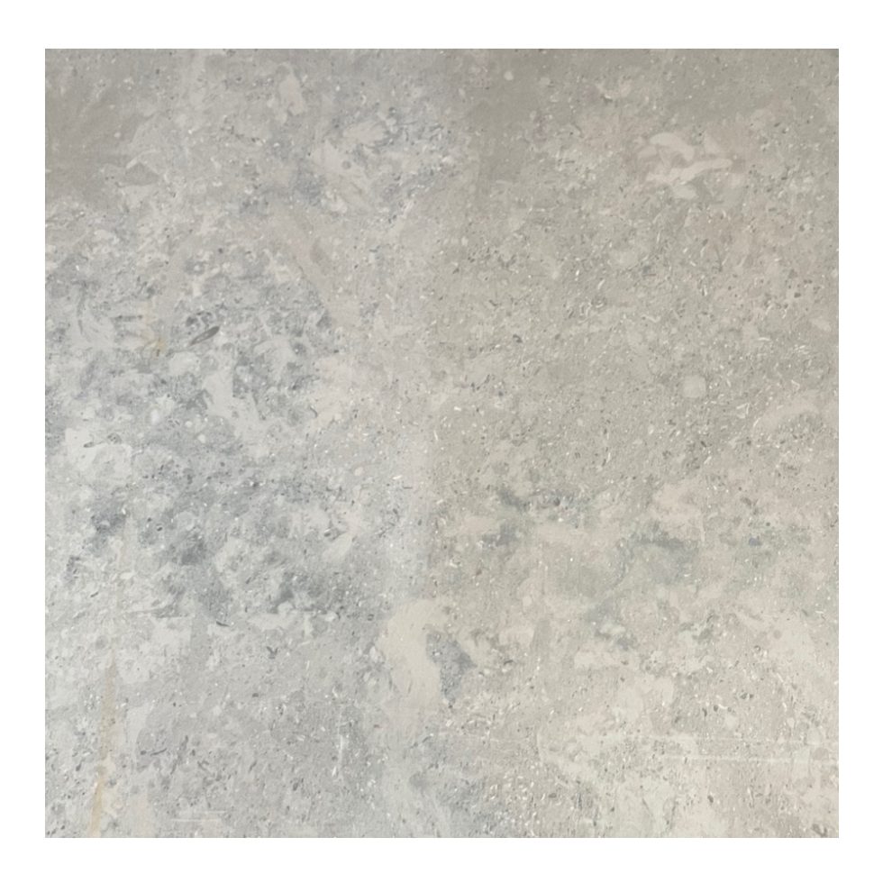 LST 123 Greige-Gray-Limestone