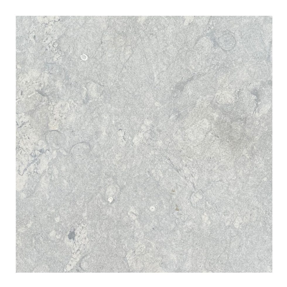 Banon Bleu Limestone LST 200