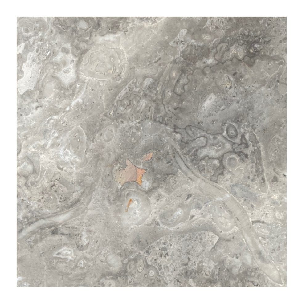 Griglio-Billiemi Signature Marble MBLT 201